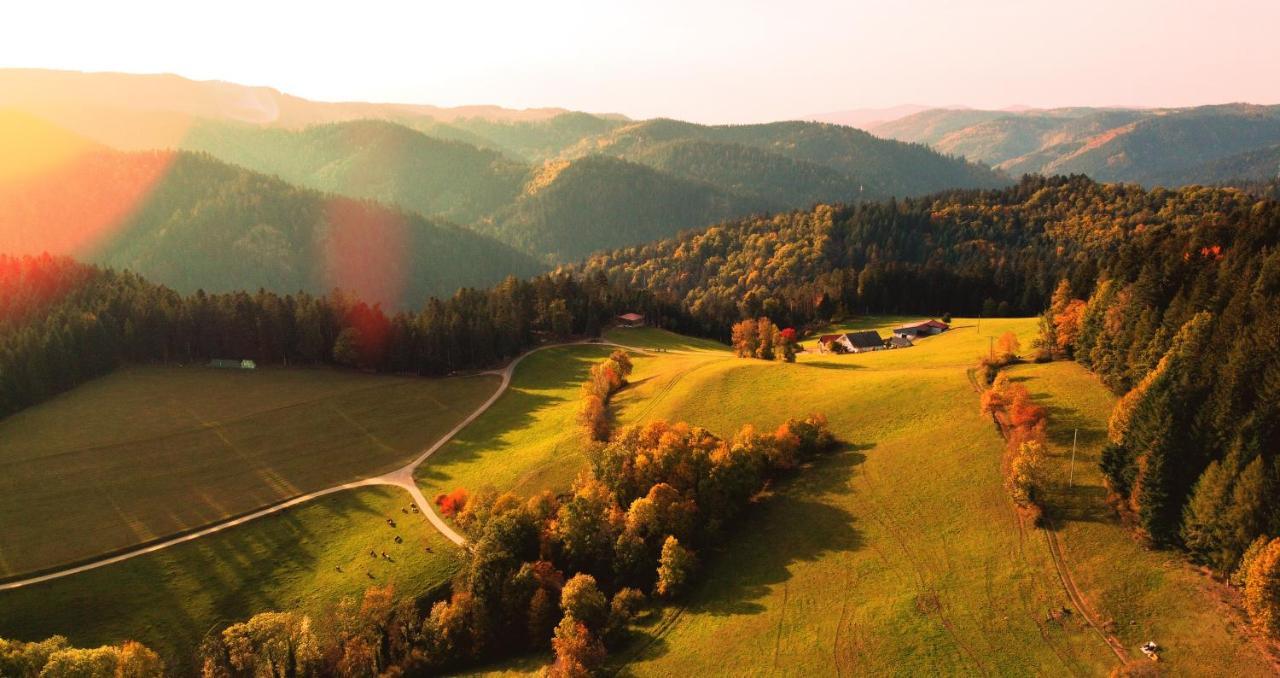 Hansjoergenhof Bioland-Hof Schiltach Buitenkant foto