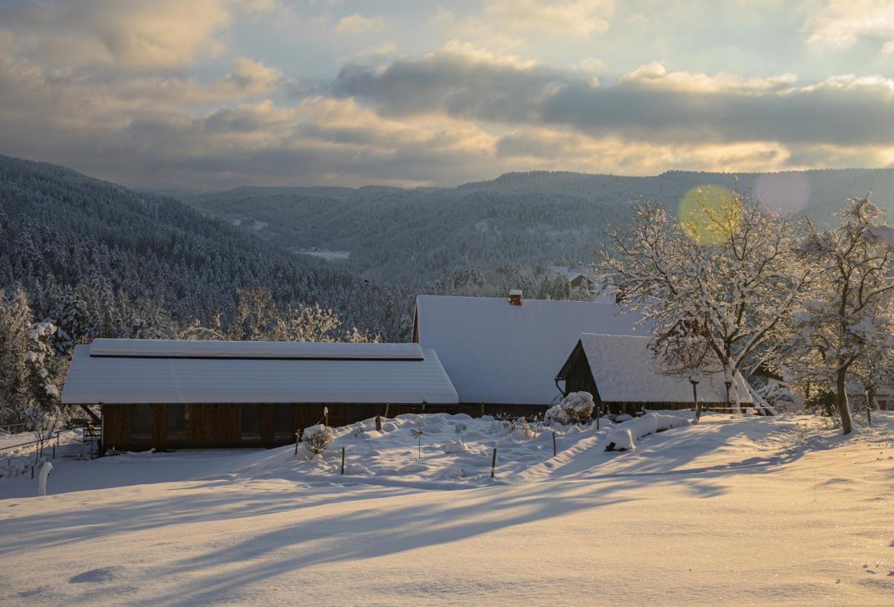 Hansjoergenhof Bioland-Hof Schiltach Buitenkant foto